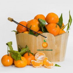 Mandarini - Agrumi di Sicilia